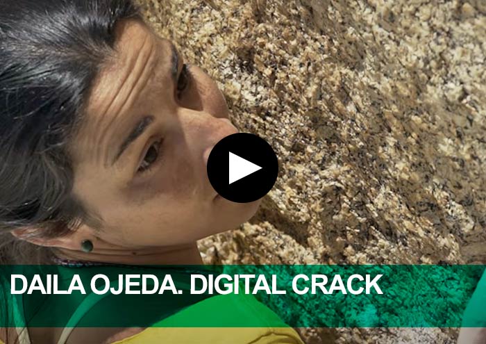 Daila Ojeda. Digital Crack